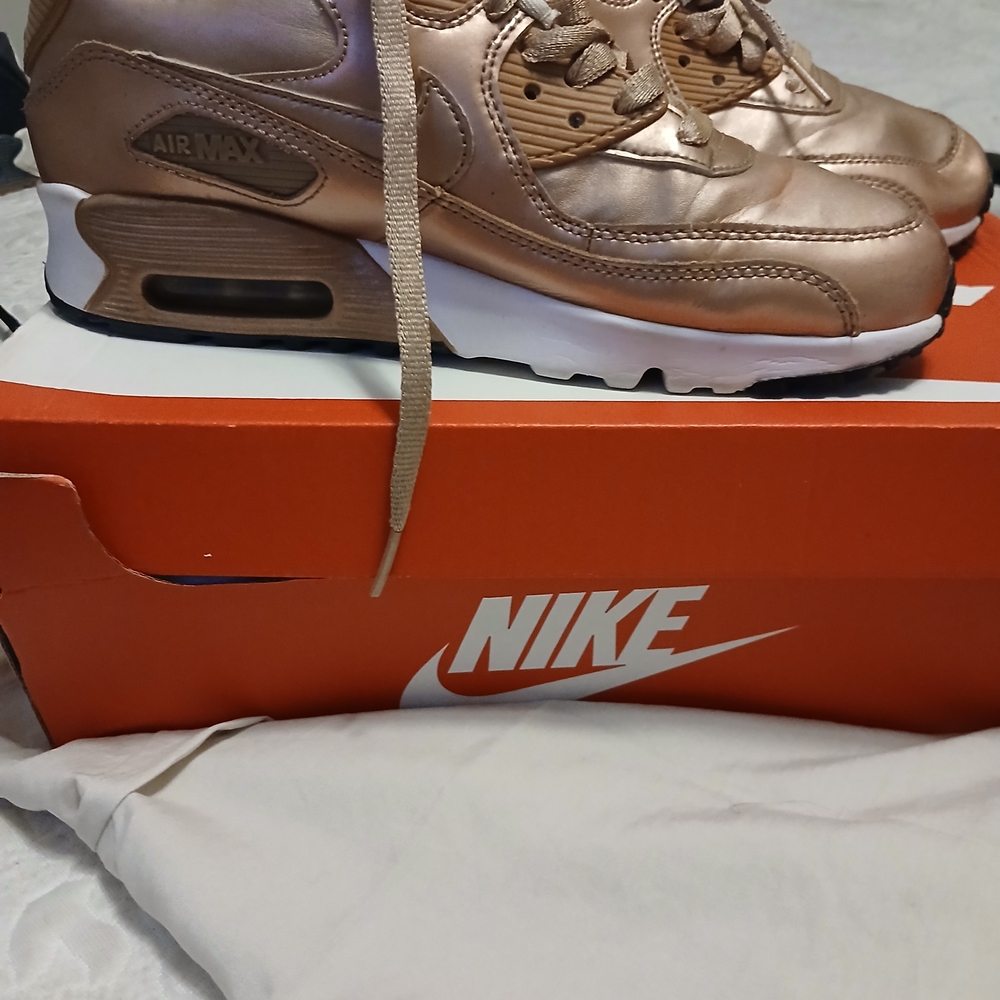 Nike Air Max Metallic Bronze Shoes